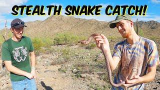 Herping - Stealth mode fast snake catch.