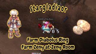 Taekwon Master/Stargladiator Build to Farm Diabolus Ring & Farm Zeny At Anita Room !! FreeRO