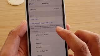 iPhone 11 Pro: How to Change Ringtone Sound