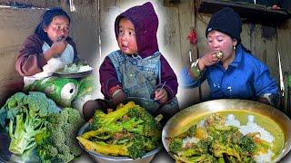 Broccoli recipe and Lentils cooking and eating with Rice || Broccoli fry Recipe in village kitchen