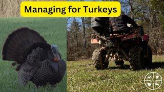 Improving Turkey Habitat