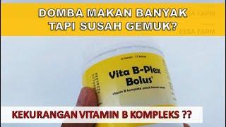 VITA B-PLEX BOLUS Vitamin B Complex yang Bermanfaat Untuk Sapi, Domba dan Kambing Susah Gemuk