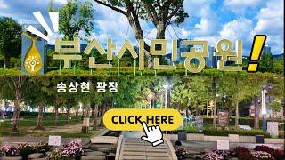 Busan Guide/Korea/100년 만에 찾은 우리 땅 부산시민공원과 송상현 광장 그리고 범전동 재개발구역