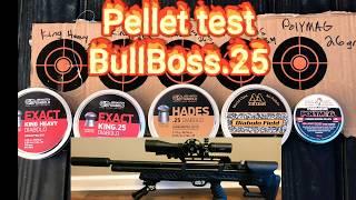 BullBoss.25 pellet test