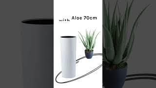 Cardin B Fibreglass Pot with Artificial Aloe 70cm