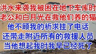 暴雨来袭，洪水漫进地下车库，我拨通了男友电话。“救救我……李维，我被困在车库，安全通道被锁了！”#小说 #故事 #爱情故事 #情感 #情感故事 #亲情故事 #为人处世 #婚姻