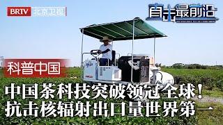 中国茶科技重大突破！全新技术提取茶多酚，有效抗击日本核辐射！产量超印度成世界第一，领冠全球！【科普中国直击最前沿】