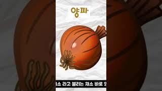 양파에 대해 알아보자! 풀버전은 프로필에 들어오시면 보실 수 있습니다! #양파 #채소 #이상사