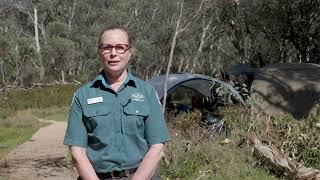 Introducing camping at Lake Catani - Mount Buffalo National Park