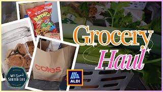 Australian Grocery Haul | Aldi and Coles | July 2024 | Family of 6 + Pets