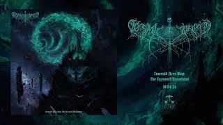 COSMIC PUTREFACTION - Hallways Engraved In Aether (official audio)