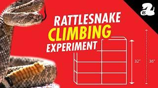 Can a Rattlesnake Climb Over a Block Wall? NO!