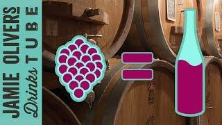 How is Wine Made? | Luca Dusi