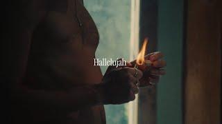 Shawn Mendes - Hallelujah (Official Lyric Video)