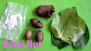 Betel Nut (Areca Palm) Review - Weird Fruit Explorer Ep. 100