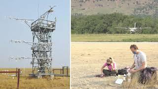 Tour a NEON Terrestrial Field Site – CPER