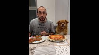 very funny dog very danger doggy