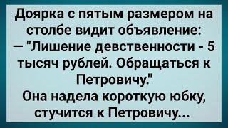 Как доярка с пятым размером к Петровичу сходила! Сборник свежих анекдотов! Юмор!