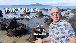 Takapuna Lava Flows and Fossil Forest