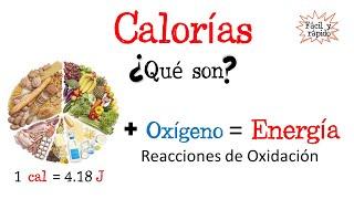 ¿Qué son las calorías? [Fácil y Rápido] | BIOLOGÍA | FÍSICA | QUÍMICA