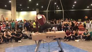 Carlos Ojeda - Pommel Horse - Nationals 2019 Finals