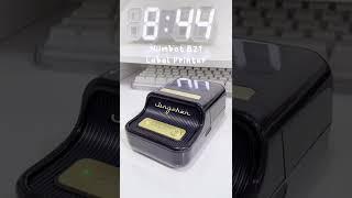 NIIMBOT B21 Label Maker Review | Perfect For Organization and Small Business