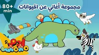 Adam Wa Mishmish - Learn about the animals in Arabic for kids| آدم ومشمش- حلقات لنتعلم عن الحيوانات