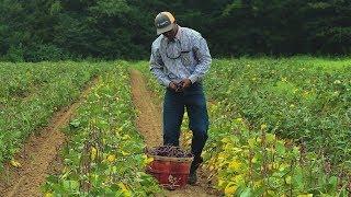 Texan, Student, Farmer