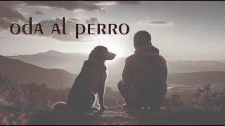 PABLO NERUDA - ODA AL PERRO