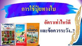 แนะนำอัตราการให้ปุ๋ยทางใบ...จากรมวิชาการเกษตร ปี 65