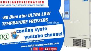 -80 blue star deep freezer repair /-80ultra low temperature/freer repair and maintenance