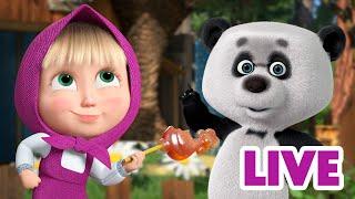 ماشا والدب ‍️ LIVE STREAM! ‍️ لم أكن أنا! ‍️ Masha and the Bear