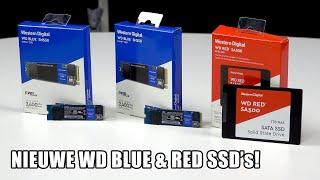 Nieuwe WD Blue SN550 en RED SA500 SSD's: kopen of niet?