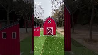 Farm theme arch stand#partydecor#partydecorations#custompartyfavor #arch#backdrop#partyideas