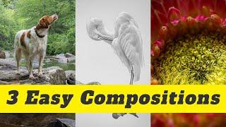 3 Easy Photography Composition Techniques for Beginners