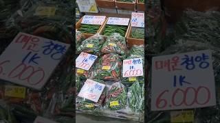 청양고추,롱그린,아삭이등 Many types of peppers !!! #재래시장 #streetfood #인천남촌도매시장