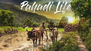 Uttarakhand Village Life || Pahari Lifestyle & Culture Vlog7