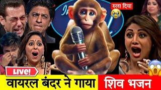 viral Monkey singing Shiv Bhajan ️ | Indian Idol Best Performance 2025 ‪@RamBhakti__‬