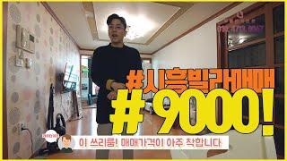 9000! 시흥시 빌라! 땡큐!