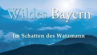 Wildes Bayern - Im Schatten des Watzmann