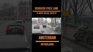 Pedal through Paradise at World-Famous Cycle Lanes – A Cyclist's Haven! #viral #shorts #viralvedio