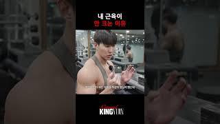 내 근육이 안 크는 이유
