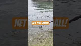2 Girls. 1 Giant Carp. 0 Chance of Success.  #FishingFail #fishing #carpfishing