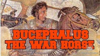 BUCEPHALUS, ANG MANDIRIGMANG KABAYO NI ALEXANDER THE GREAT
