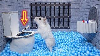 Hamster Escape: Prison Maze Live Stream