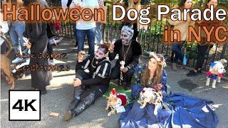 Halloween Dog Parade  · Tompkins Square Park · New York City · 4K