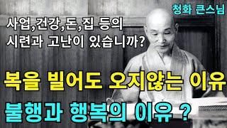 복을 빌어도 오지 않는 이유와 하늘이 고난과 행복을 주는 원리 |청화스님 법문