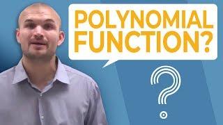 What is a polynomial function