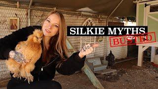 The TRUTH About Silkie Chickens