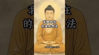 「三種心念，讓你病得更深？」#佛音覺悟 #佛法療癒 #身心靈修行 #佛陀智慧 #心病#清淨自在 #佛法日常 #轉念之力 #佛教短片 #佛法影片#南無阿彌陀佛 #因果法則 #修心養性 #正念生活